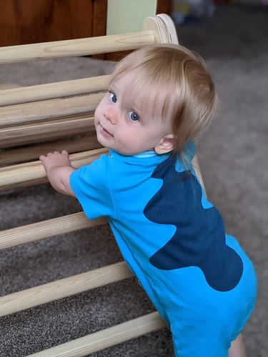Customer photo review of Little Climber