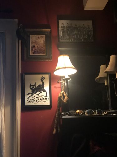 Customer photo review of Cat On Skulls, Matte Art Print Poster