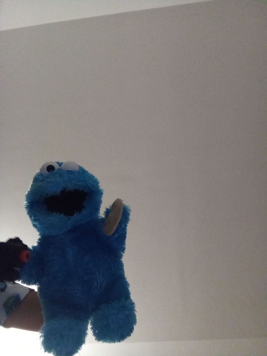 Customer photo review of Cookie Monster Marionnette Sesame Street