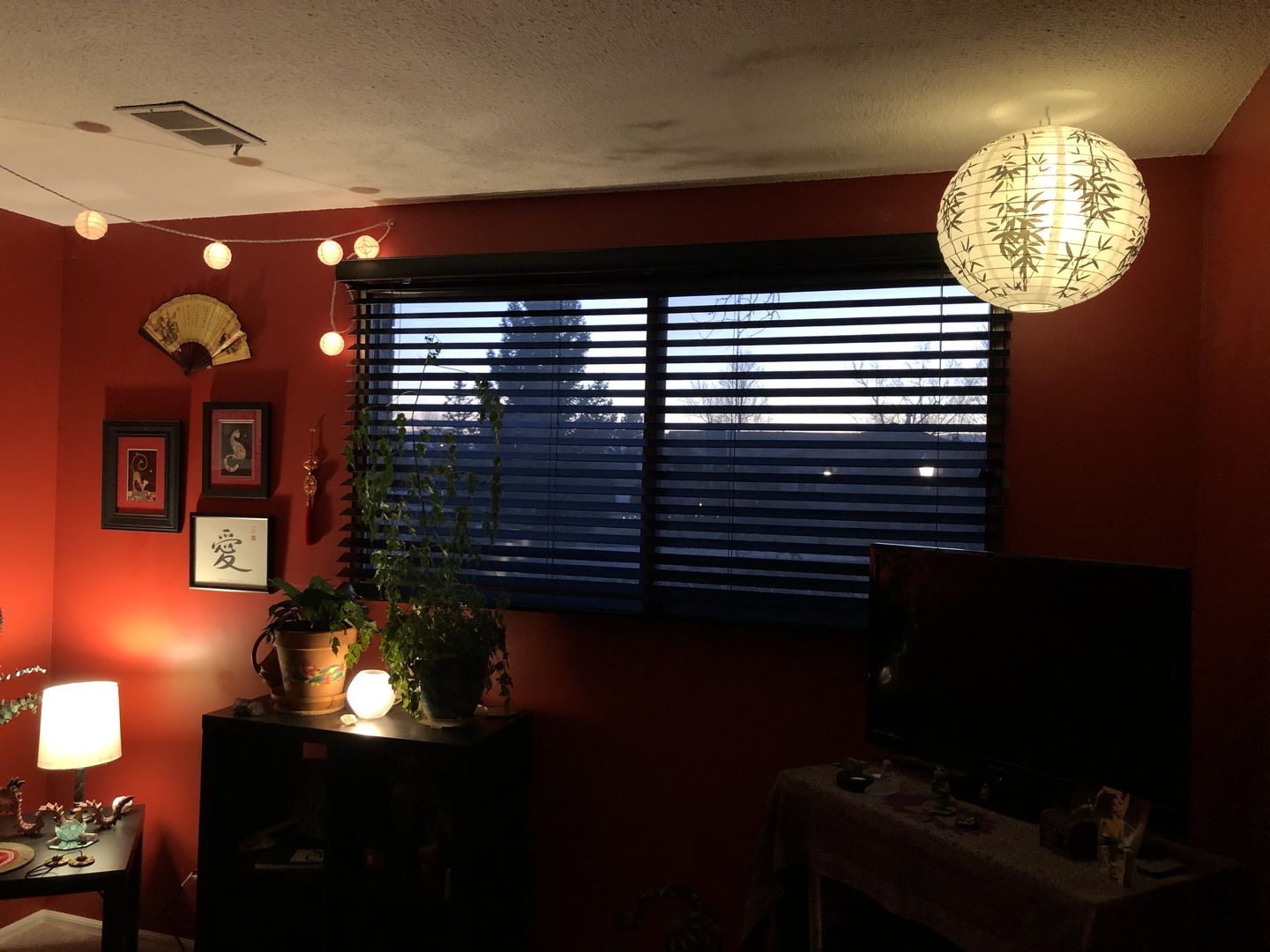 Customer photo review of MoonBright™ 12-LED Omni360 Remote Control Omni-Directional Lantern Light, Hanging / Table Top, Warm White (Battery Powered)