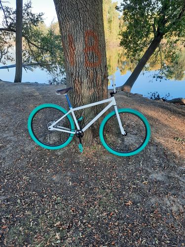Customer photo review of Twenty9er BMX Bike
