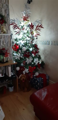 Customer photo review of PositVibe Patella Stabilizer