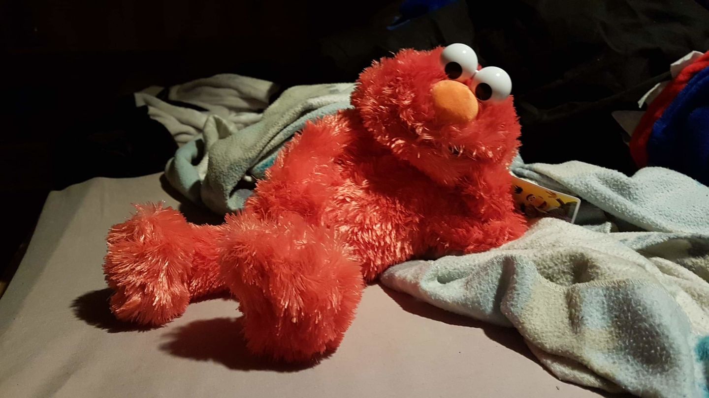 Customer photo review of Elmo Marionnette Sesame Street