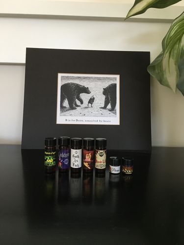 Customer photo review of Discovery sets - Suc's bestsellers