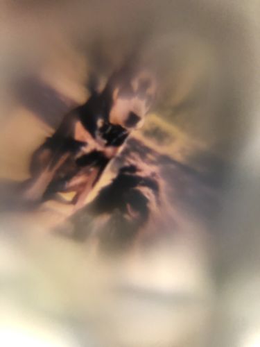 Customer photo review of Peakmart™ Pfotenkette mit Wunschfoto