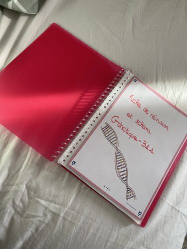 Avis photo d'un client sur Protège-documents à spirale OXFORD # A5 - 40 pochettes - Polypropylène - Translucide - Rose