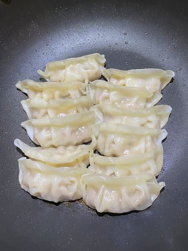 Customer photo review of JFC Pork Gyoza 日本猪肉饺子216g (1包12入/Bag)