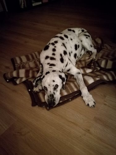 Customer photo review of Kreuzstich - Dein Wunschmotiv