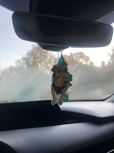 Customer photo review of Custom Air Freshener