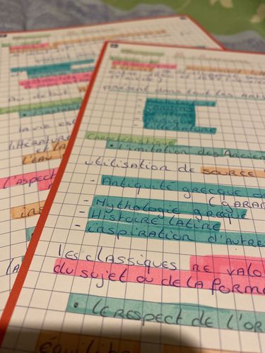 Avis photo d'un client sur Fiches de révision REVISION 2.0 OXFORD # 50 fiches 14,8 x 21 cm - petits carreaux
