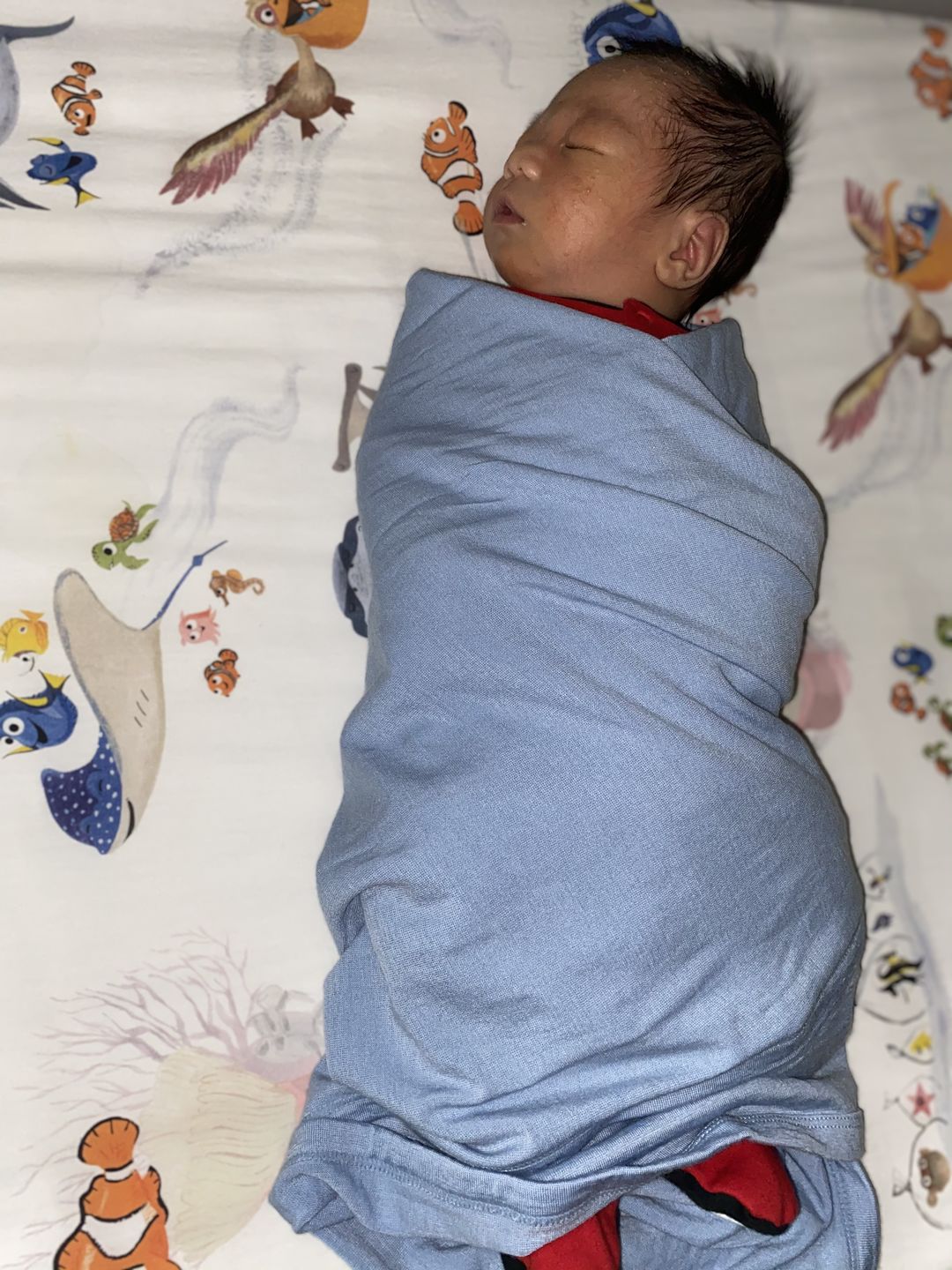 Customer photo review of Swaddle Blanket, Merino Wool, Newborn to 3 Months, Blue