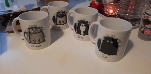 Customer photo review of Mug personnalisé | La vie est meilleure avec un chat