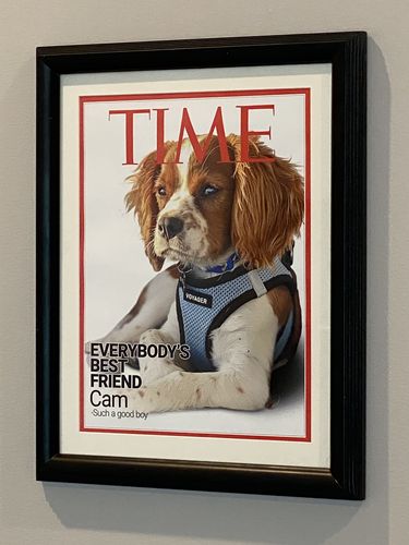 Customer photo review of Posing Pig Custom Print