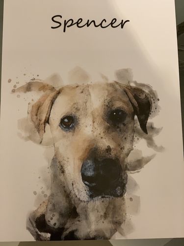 Customer photo review of Individuelles Haustierporträt - Posterdruck