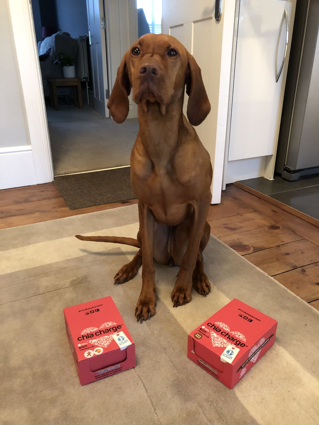 Customer photo review of Peanut Butter Flapjacks and Cocoa  Peanut Flapjacks  50g 10 + 2 FREE