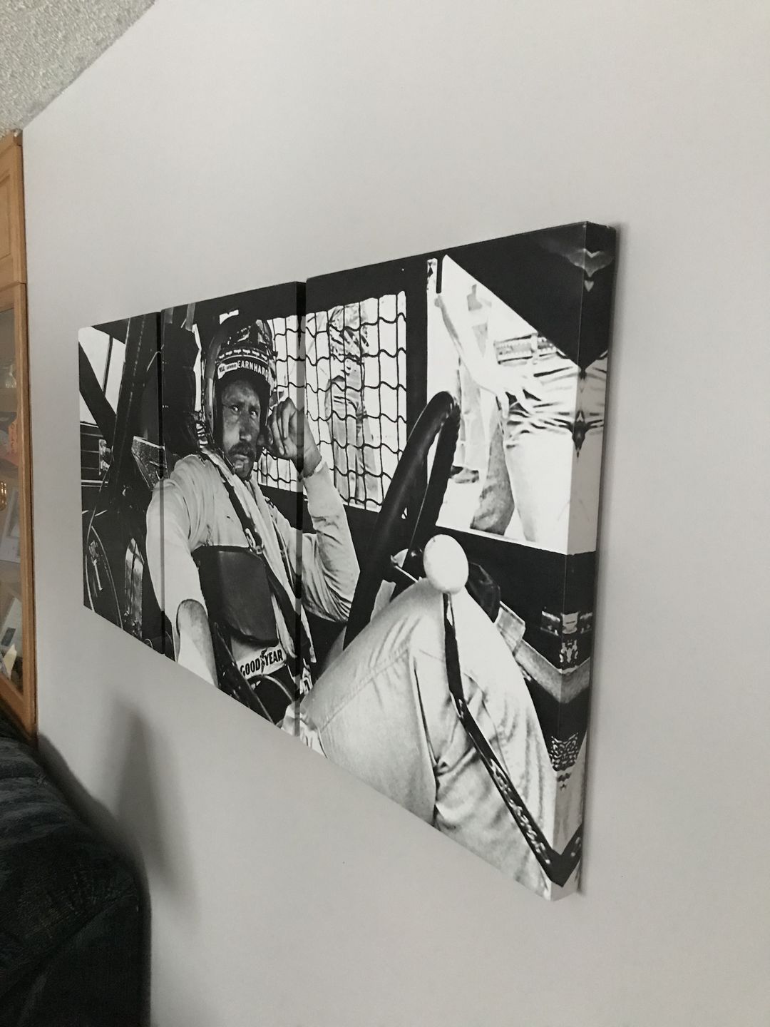 Customer photo review of Dale Earnhardt Wall Art