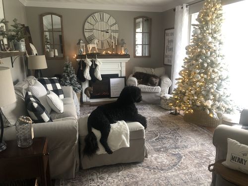 Customer photo review of Distressed Vintage Kendra Ash Area Rug