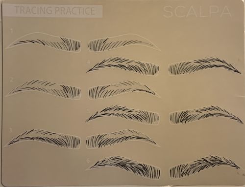 Customer photo review of Synthetic Practice Brow Skin (Stroke and Trace)
