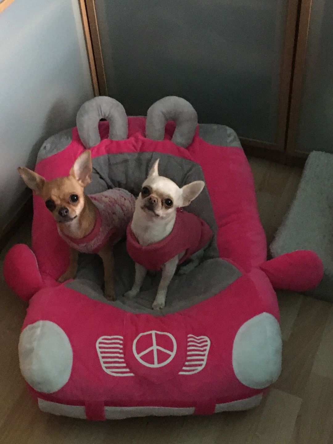 Customer photo review of Furcedes Sports Car Bed