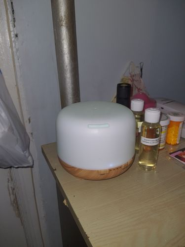 Customer photo review of Egyptian Musk Scented Home Fragrance Burning Oil ~ Diffuser Oil