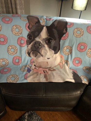 Customer photo review of Custom Pet Sherpa Blanket