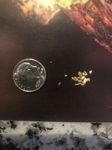Customer photo review of '150 GRAM GOLD HUNT' - ELITE Gold Paydirt Panning Concentrates