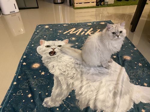 Customer photo review of 【客製】手繪寵物肖像 毛毯 Custom Pet Fleece Blanket