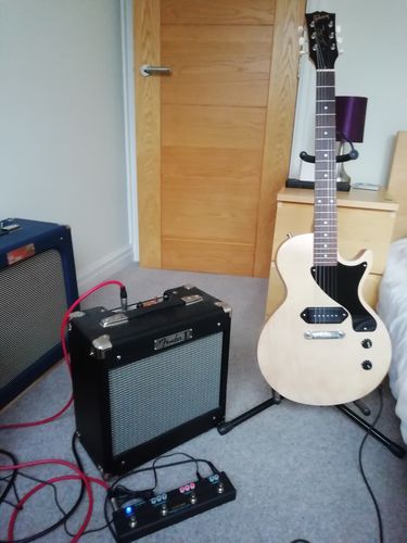 Customer photo review of Twiggy Blues