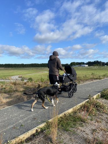 Customer photo review of Oscar Mx