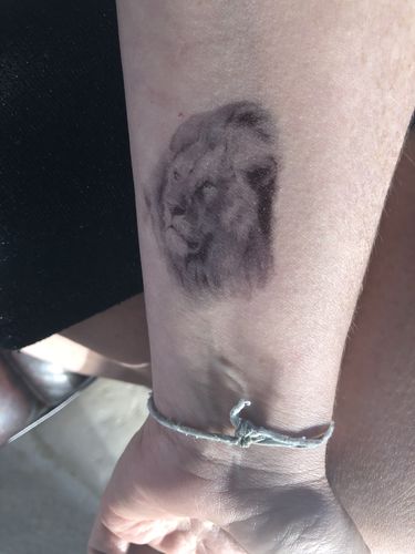 Customer photo review of Lions réalistes 2