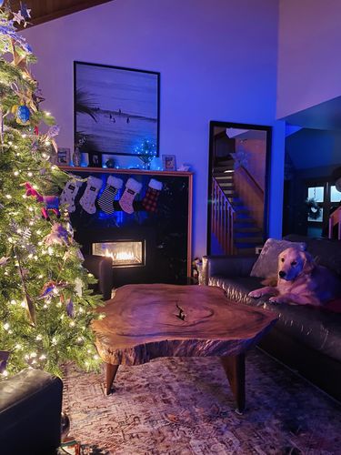 Customer photo review of Distressed Vintage Derya Multi Area Rug