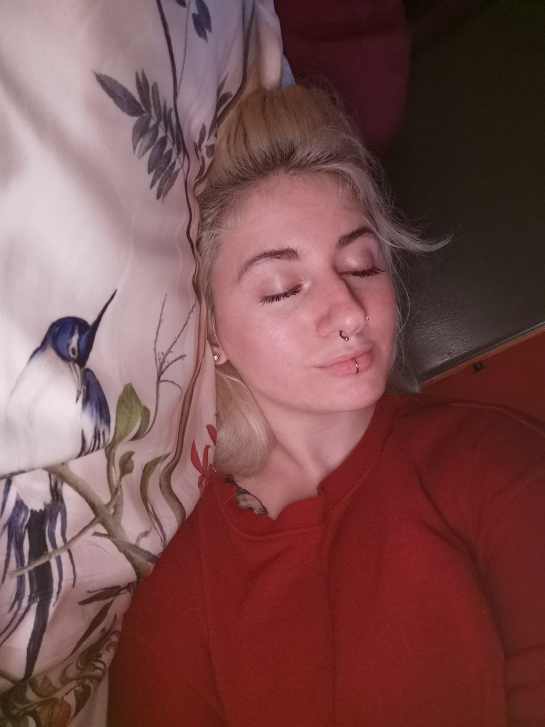 Customer photo review of Hummingbird Pure Silk Pillowcase