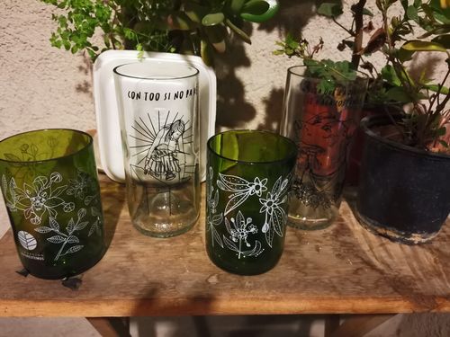 Customer photo review of Reforestemos