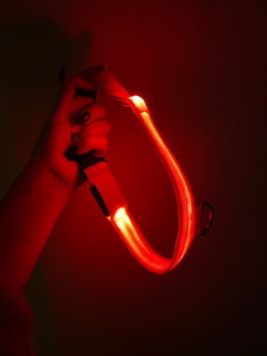 Customer photo review of Light Up LED Dog Collar