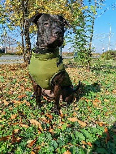Customer photo review of Warm Winter Dog Coat