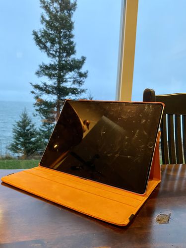 Customer photo review of Genuine Leather iPad Case