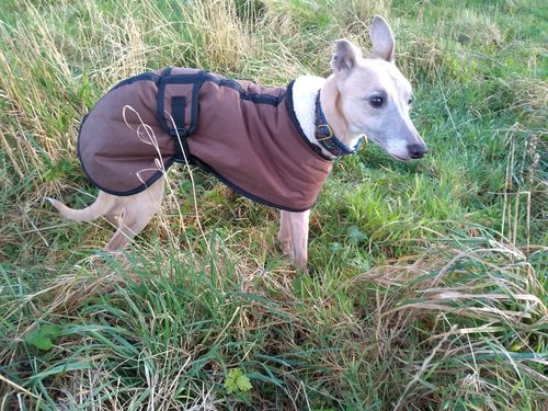 friday fox whippet coats
