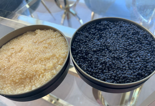 Customer photo review of “Caspian Almas” Albino Sturgeon Caviar