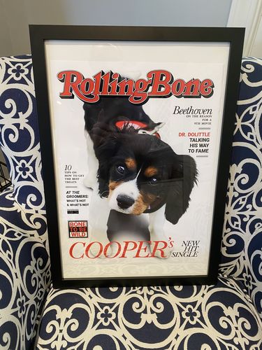 Customer photo review of Posing Pig Custom Print