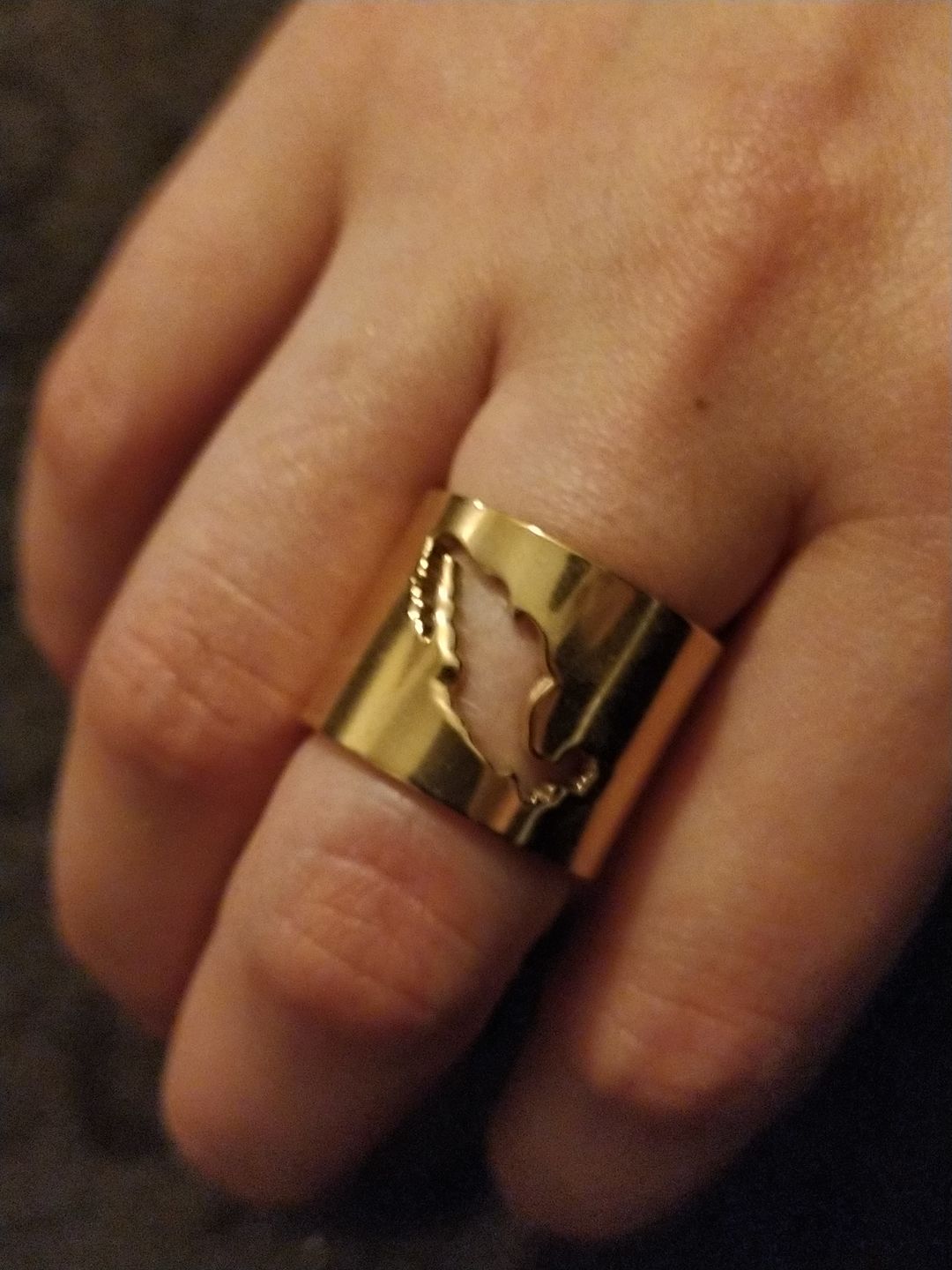 Customer photo review of Anillo México Querido