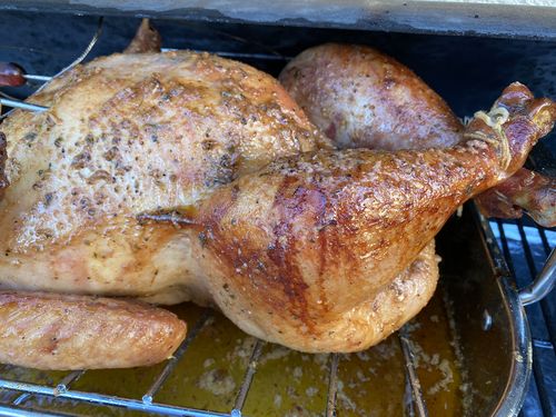 Customer photo review of Thanksgiving Turkey