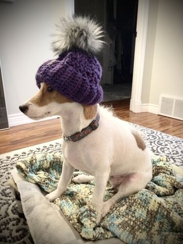 Customer photo review of The Cascade Slouch Toque