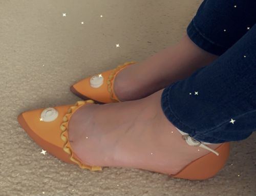 Customer photo review of Limited Edition Pumpkin Pie Flats