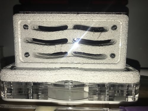 Customer photo review of [PREORDER] AntKit AirDen Pro Vertical Nest (Size 2)