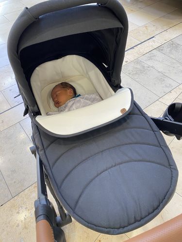Customer photo review of Carry Cot Mx
