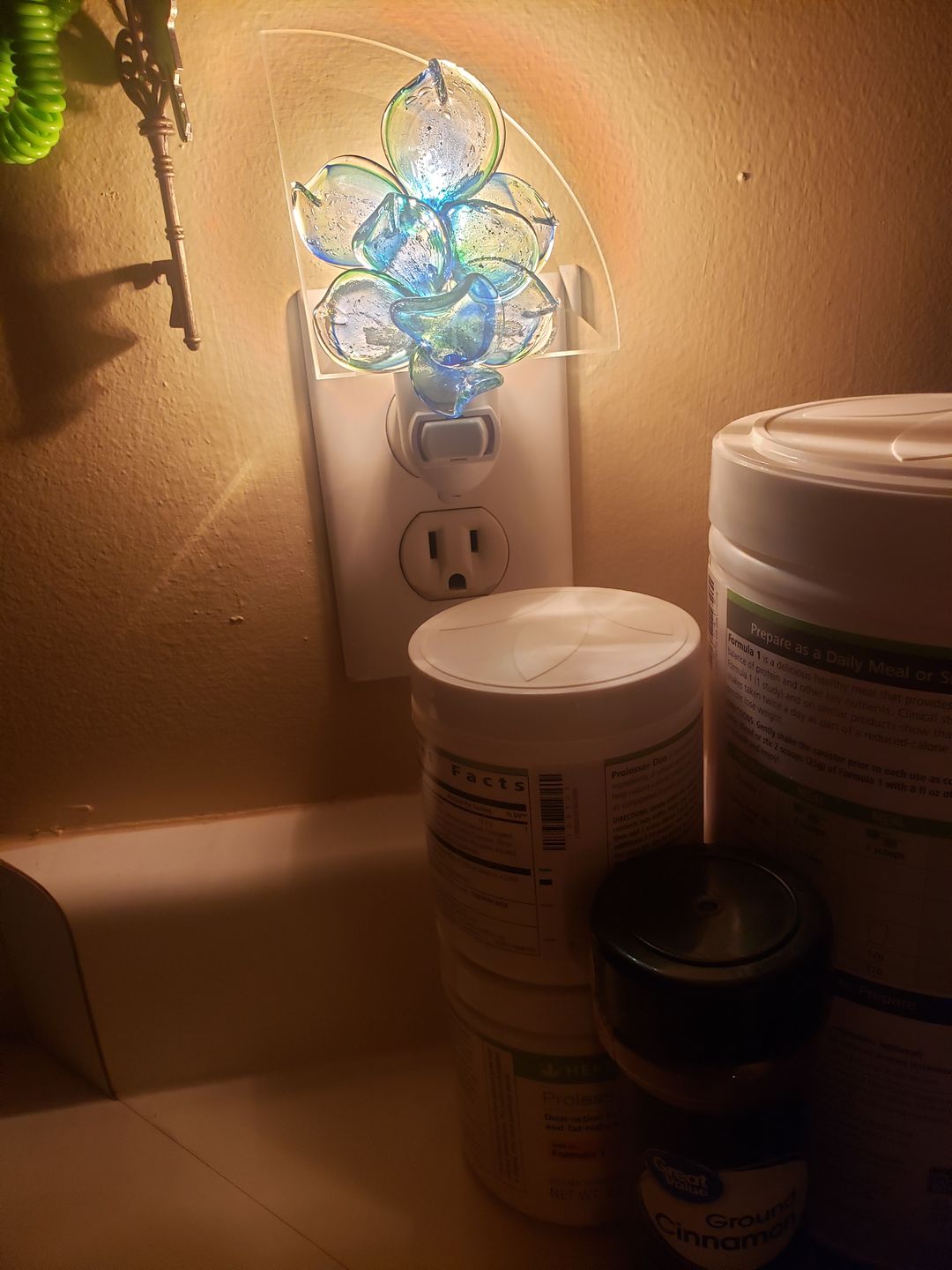 Customer photo review of Memorial Nightlight Flower with Cremation Ash