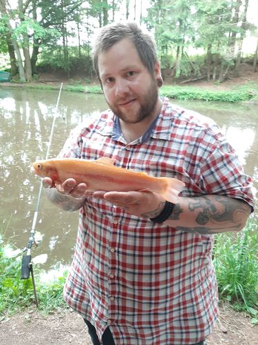 Customer photo review of USB Speed Charger inkl. 2x Akkus