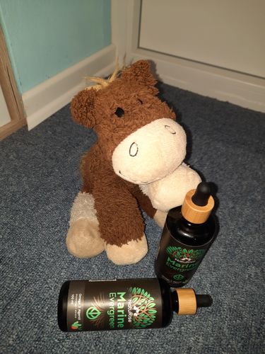 Customer photo review of Omega 3 Algenöl