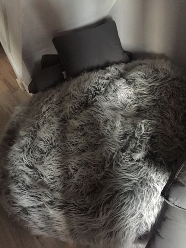 Customer photo review of The Ultimate XXL Adults Children’s Pre-filled Faux Fur Bean Bag
