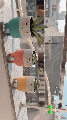 Customer photo review of Smiling Planter (Set of 3)